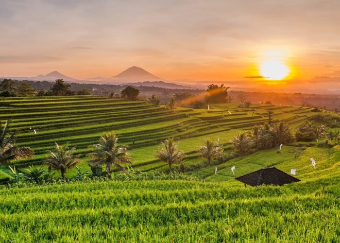 The Best View of Rice Terrace